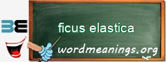 WordMeaning blackboard for ficus elastica